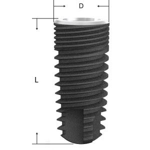 Solid Abutment